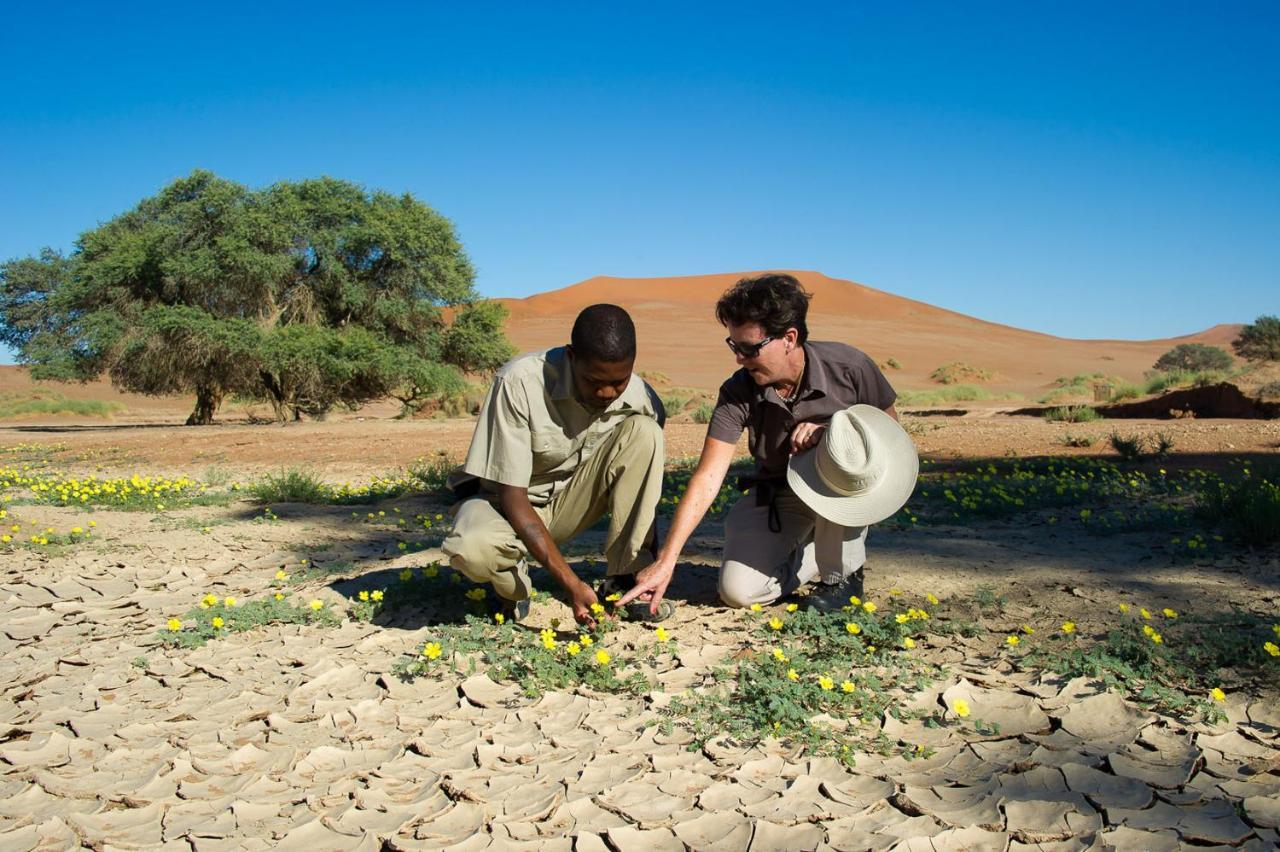 سيسريم Wilderness Safaris Kulala Desert Lodge المظهر الخارجي الصورة