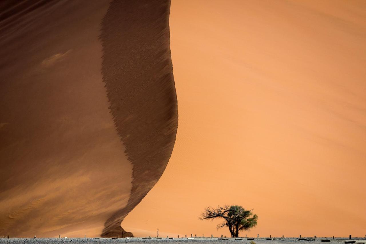 سيسريم Wilderness Safaris Kulala Desert Lodge المظهر الخارجي الصورة