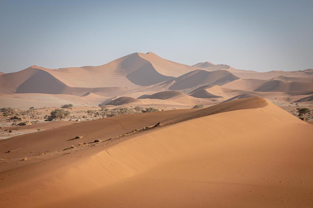 سيسريم Wilderness Safaris Kulala Desert Lodge المظهر الخارجي الصورة