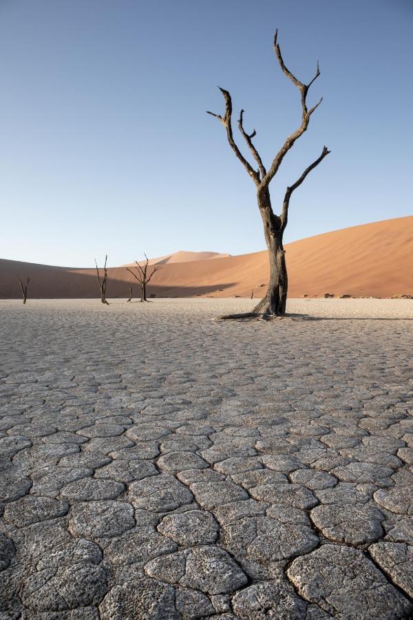 سيسريم Wilderness Safaris Kulala Desert Lodge المظهر الخارجي الصورة